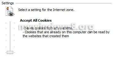 enable cookie internet explorer 8