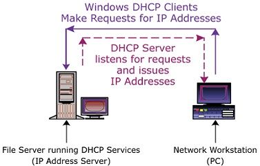 Enable dhcp in Windows 8