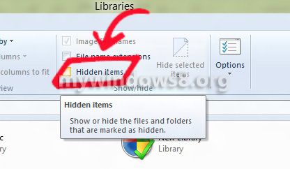 Hidden Items