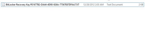 Bit locker key file