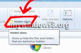 Fix hidden items not working
