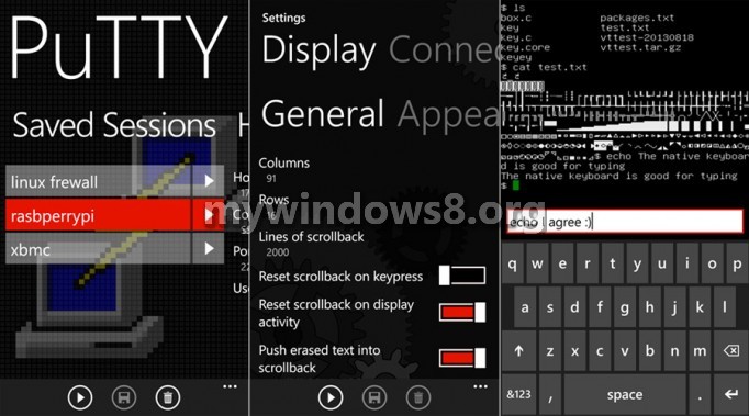 PuTTY SSH client is available on the Windows Phone Store