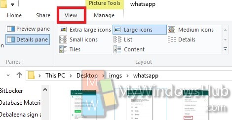 File Explorer View