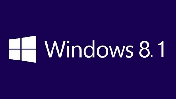 Google researcher publishes unpatched Windows 8.1 security vulnerability